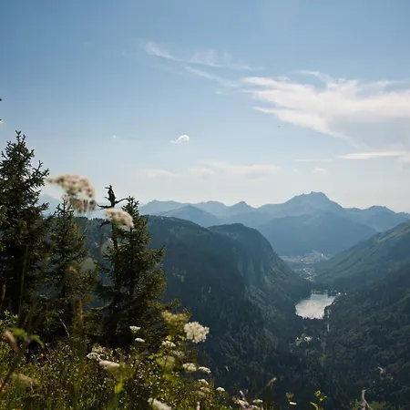 Sur Les Monts Morzine