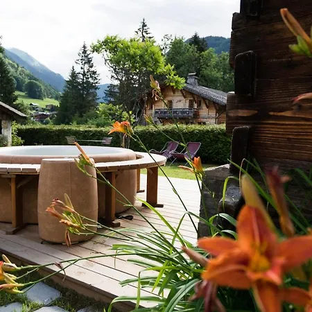 Sur Les Monts Morzine *